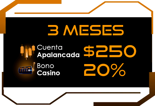 3 Meses