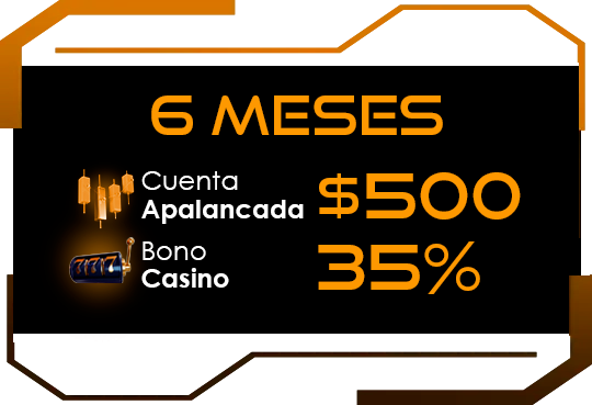 6 Meses